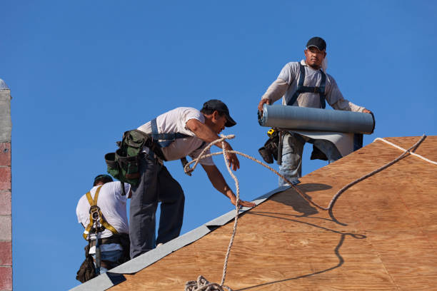 Trusted Dodge Center, MN Roofing Contractor Experts