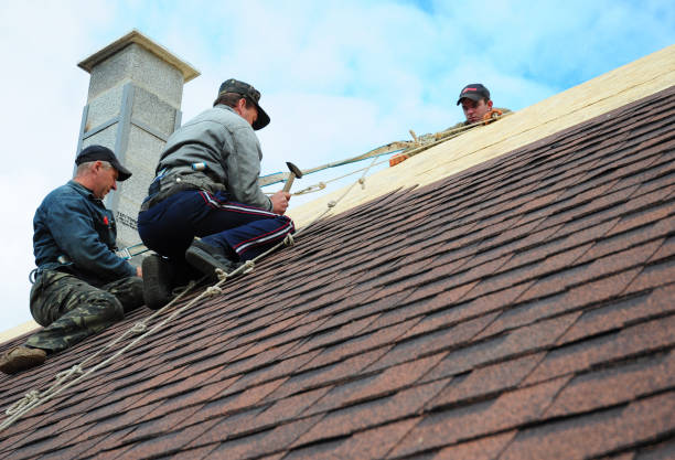Gutter Installation and Roofing in Dodge Center, MN